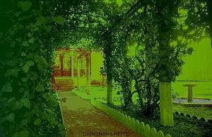 oran Palais-du-Dey--Collection-Lafite